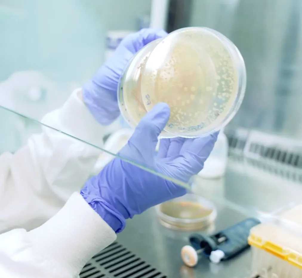 UK Scientists Develop Device to Preserve Breast Milk Microbiome