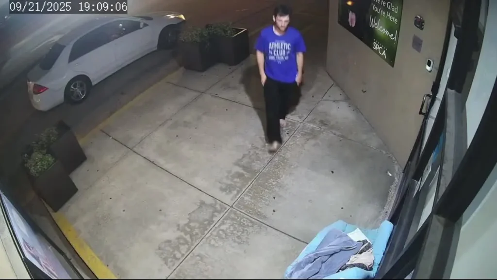 Norfolk SPCA Appeals for Public Help After Donations Stolen