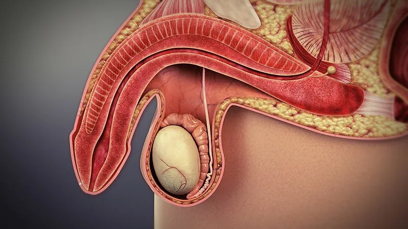 The Silent Health Risks Men in Their 40s, 50s and 60s Shouldn’t Ignore