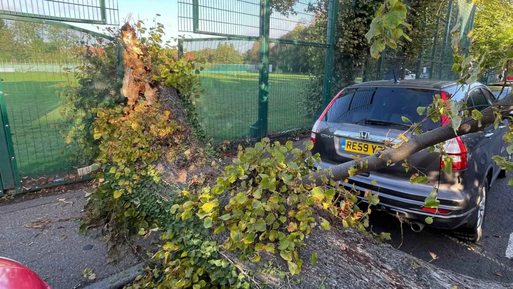 Strong Winds Cause Travel Disruption Across South East England