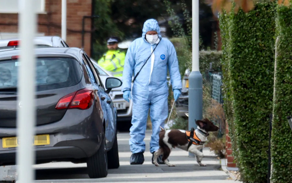 Police Arrest 22-Year-Old After “Shocking and Senseless” Stabbing in Midhurst Gardens