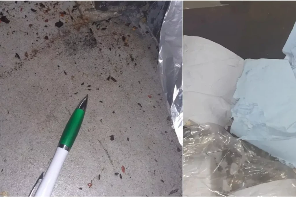 Walsall Catering, wedding caterer fine, food hygiene inspection UK, rodent infestation caterer, Hygiene Emergency Prohibition Notice, UK catering news, Asian cuisine catering, Walsall food safety, environmental health inspection, food hygiene ratings