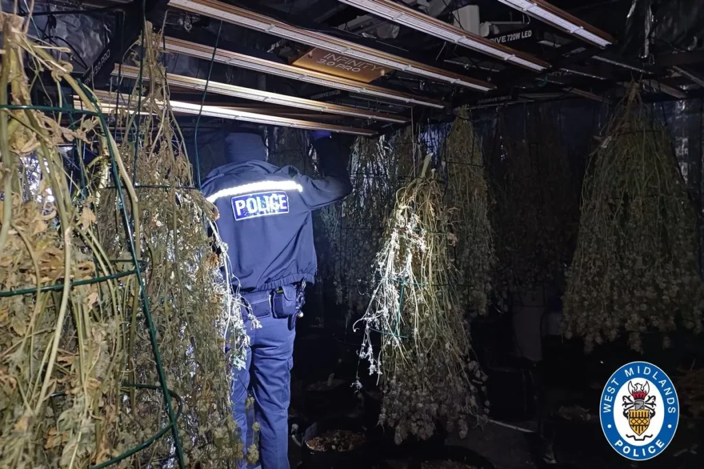 Police Discover Large Cannabis Grow Operation Near JLR Plant in Solihull