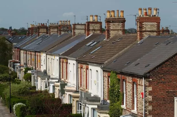 UK Parents Warned to Keep Children Indoors as Firework Safety Alert Issued