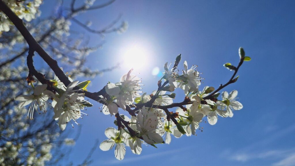 Britain to Bask in 18C Heat as Dry Spell Brings Taste of Spring